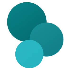 SaaS Platform Development